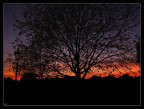Hyde Park Sunset
