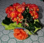 Fiori 8.jpg