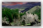 Colori delEtna .............