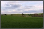 pomeriggio prima primavera