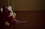 first teddy on the moon
