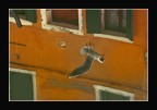 ...riflessioni in volo...