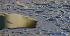 Riflessi 1