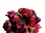 Un mazzo di rose secche, canon a95 e photoshop quanto basta.