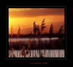Canon EF 70-100 F4 L 
1/1600 f4
Iso 100 focale 145