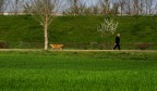 Non c' niente di meglio che una passeggiata in tutta tranquillita