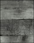linee