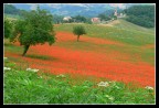 Panasonic Lumix FZ30