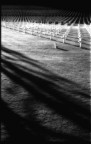 cimitero americano