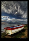 La barca