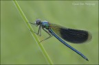 Inizio stagione macro