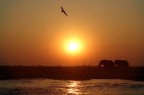 tramonto africano