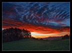 alba rossa
