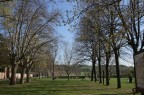 vita nel prto verde