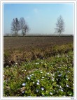 Il campo Il campo