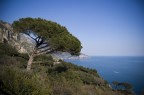 Verso il mare