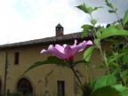 Prima del temporale