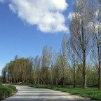 paesaggio 2
