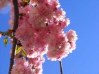 it's time for spring!!!