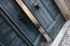 gatto che guarda di traverso