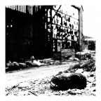 tmax3200
ilford multigrade fb - neutol