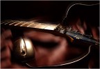 Musica Digitale