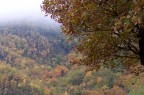 Appennino Tosco Emiliano, novembre 2003.