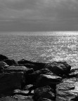luce