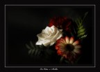 La Vita e' bella