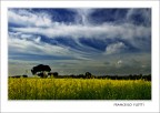 E' primavera