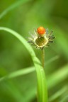 Altra angolazione