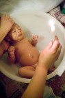 bambino