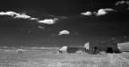 Canon A85 e filtro Infrared.
Tra Mottola e Castellaneta, Taranto