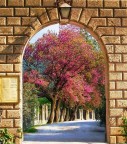 Primavera