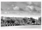 The Bridge