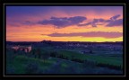 paesaggio 2