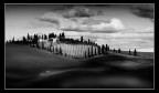 crete senesi