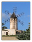 Mulino