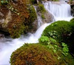 Torrente Grignato