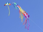 Colori