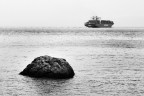 mare