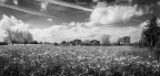 Campagna