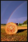 ...e poi l'arcobaleno!!!