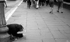 Indifferenza......