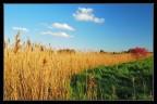 colori di primavera