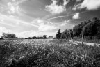 CAMPAGNA #2
