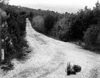 Colline Livornesi: Verso la Citt