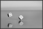 Il Caso