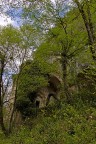 In the green