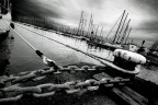 Al Porto